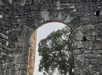 Excursión Senderismo Allègre-les-Fumades - Château d'Allègre depuis la Bégude - Photo