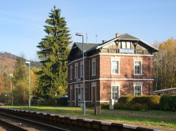 Percorso A piedi Zdislava - [Ž] Trávník-Pod Roimundem - Photo