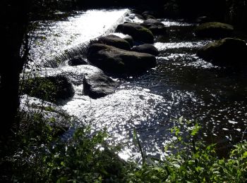 Tour Wandern Saint-Laurent-sur-Sèvre - Rando St Laurent sur Sèvres 15km - Photo