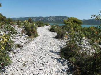 Tour Zu Fuß  - Poučna botanička staza - Photo