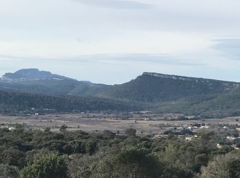 Excursión Senderismo Claret - Les crêtes de la taillade - Photo