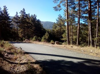 Tocht Lopen Real Sitio de San Ildefonso - CHORRANCA CAIDA - Photo