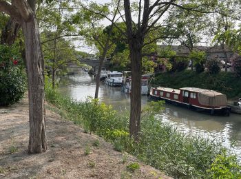 Randonnée Marche Poilhes - Berges du canal du midi à Poilhes - Photo