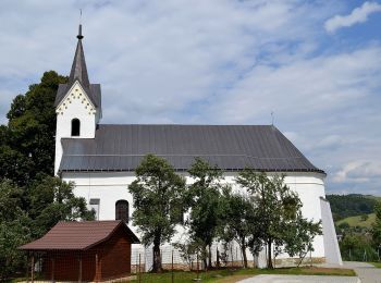 Percorso A piedi okres Považská Bystrica - SK-Local marking made by village Slopna. There are guidepost with defined color for paths, but without physical marking. There are no guideposts outside the Slopna territory even if the path is ending elsewhere. - Photo