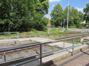 Tocht Te voet Bad Arolsen - Bad Arolsen Engelweg - Photo