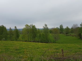 Tocht Te voet Onbekend - Flämsjön runt - Photo