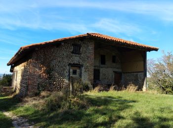 Tour Wandern Saint-Siméon-de-Bressieux - Canyon des Gueulards - Photo