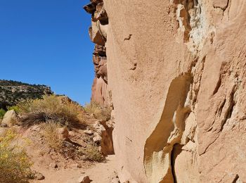 Randonnée Marche  - 2024 Capitol Reef Hickman Bridge - Photo