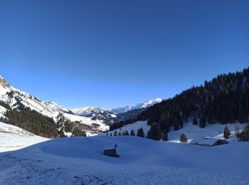 Percorso Racchette da neve La Giettaz - 30-12-24 raquettes Col aravis - Photo