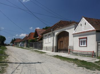 Randonnée A pied Inconnu - Cârțișoara - Cabana Vama Cucului - Cabana Bâlea Cascadă - Photo