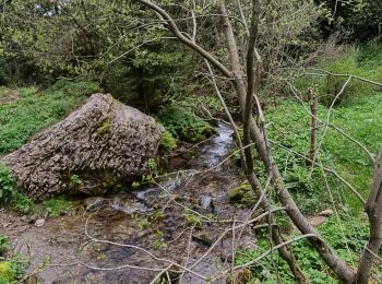 Tour Wandern Bernex - Boucle depuis Pre Richard.. - Photo