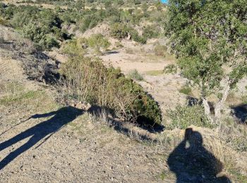 Tour Wandern Fréjus - z Malpasset 28-11-23 - Photo