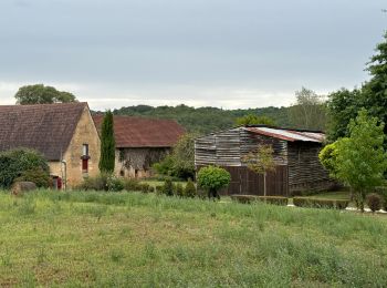 Excursión Senderismo Vitrac - Vitrac, Périgord, journée un - Photo