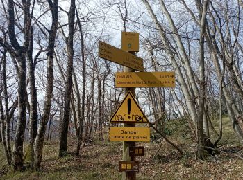 Trail Walking Fontanil-Cornillon - cheminée de Mont saint martin en boucle - Photo