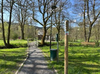 Randonnée Marche Martelange - Martelange forêt et Sûre 22,1 km - Photo