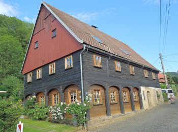 Tour Zu Fuß Großschönau - LG-Grüner Strich - Großschönau - Lausche - Photo