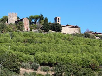 Trail On foot Panicale - Mongiovino - Buca Calcinaro - Photo