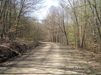 Excursión A pie  - Planinska kuća Tivanovo - Pjeskovi - Photo