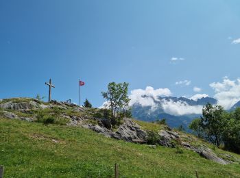 Tocht Stappen Saint-Maurice - Tour des dents du midi - Photo