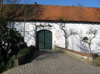 Trail On foot Houthalen-Helchteren - Het land van bier, melk en honing Rode driehoek - Photo