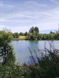 Tocht Stappen Waimes - Au fil des rives du Lac   - Photo