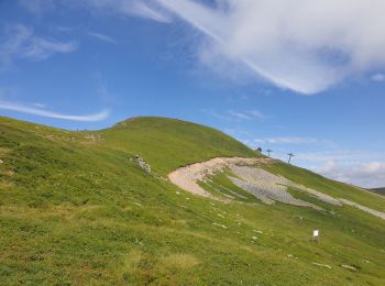 Randonnée Marche Albepierre-Bredons - Le Plomb du Cantal - Photo