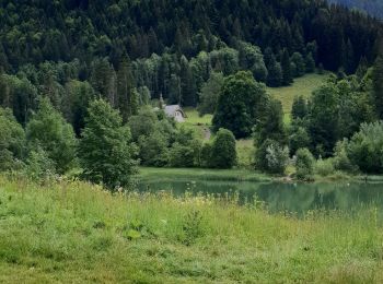 Excursión Senderismo Bellevaux - le Lac de Vallon - Photo