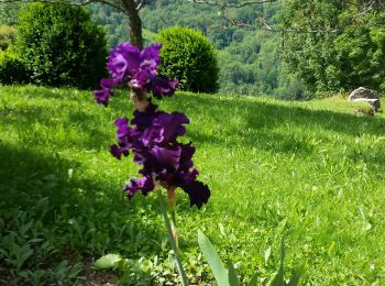 Percorso Marcia Cognin-les-Gorges - gerlette abs - Photo