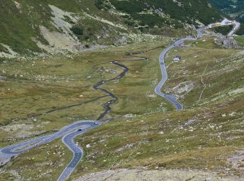 Tocht Te voet Zernez - Flüela-Schwarzhorn - Photo