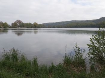 Tour Wandern Bouvaincourt-sur-Bresle - Bouvaincourt sur Bresle le marais  - Photo