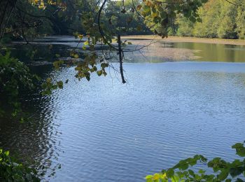 Randonnée Marche Saint-Victor-de-Cessieu - Forêt de Vallin  - Photo