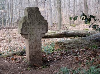 Tour Zu Fuß Bergisch Gladbach - BASt Rundweg A2 - Photo