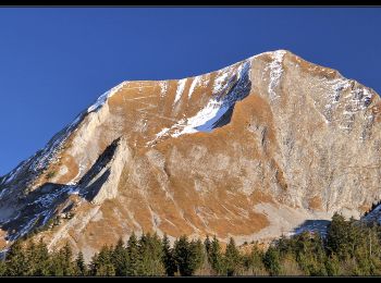 Tour Wandern Le Bouchet-Mont-Charvin - Aulp de Marlens - Photo