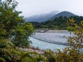 Trail On foot  - Te Ara A Waiau - Photo