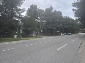 Tocht Stappen La Cadière-d'Azur - 20250116 le gros cerveau  - Photo