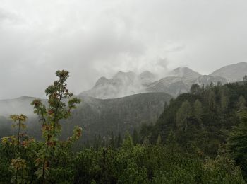 Randonnée Marche Bohinj - Triglav J2 - Photo