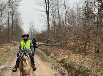 Trail Horseback riding Métairies-Saint-Quirin - Elodie kalio joyeux Tivio  - Photo