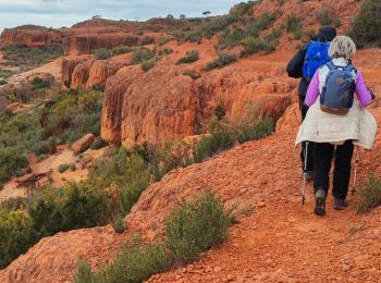 Trail Walking Vitrolles - les infernets. pennes Mirabeau  - Photo