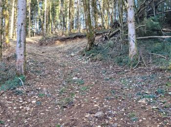 Randonnée Marche Martignat - cimetierre  vers grospiron - Photo