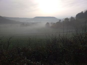 Tocht Stappen Malans - bon an Malans - Photo