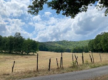 Randonnée Randonnée équestre Ernolsheim-lès-Saverne - Boucle Ernolsheim-Hunebourg - Photo