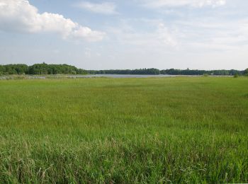 Tocht Te voet Kloster Lehnin - Baumkreis-Wanderweg - Photo