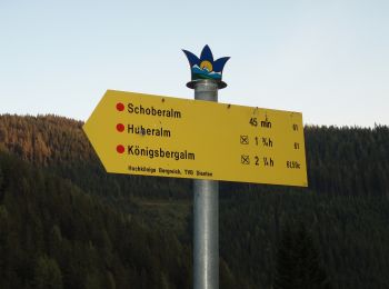 Percorso A piedi Dienten am Hochkönig - Fischerstüberl-Ahornstein - Photo