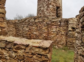 Trail Walking Caunes-Minervois - Notre Dame du Cros- Caunes Minervois - Photo