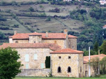 Tocht Te voet Saint-Martin-des-Plains - Vallee de parcelles - Photo