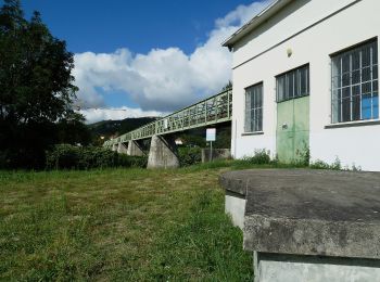 Excursión A pie Cournon-d'Auvergne - Bords d'Allier - Photo