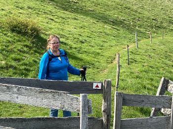 Randonnée A pied Bourbach-le-Haut - Hundsruck - ferme du Gsang À/R 10,2 kms - Photo