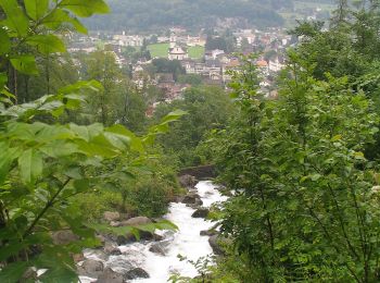 Randonnée A pied Glarus Nord - Boggenmoor - Unter Brand - Photo