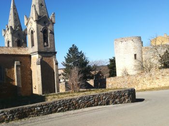 Trail Walking Cavillargues - cavillargues - Photo