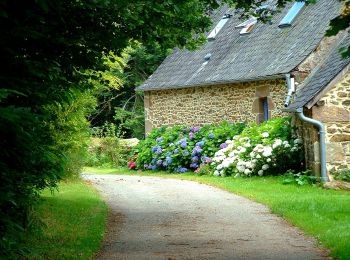 Tocht Te voet Le Jardin - Sur les chemins de Marcouyeux - Photo